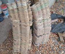 egg cartons