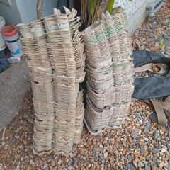 egg cartons