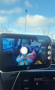 Car monitor camera