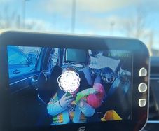 Car monitor camera
