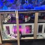 Marine fish tank Image 6