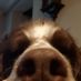 kamcio