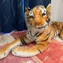 Tiger Plush Toy Image 3