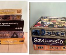 Board games (Dixit, Smallworld, Coup, Avalon, Cards Against Humanity)