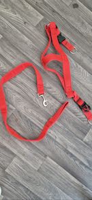 dog harness and lead big dog
