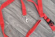 dog harness and lead big dog