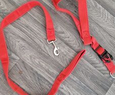 dog harness and lead big dog