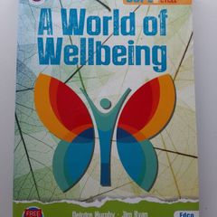 A World of Wellbeing JC CSPE