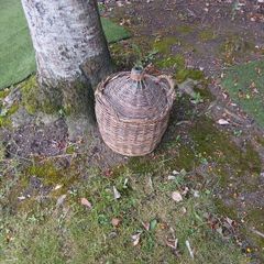 large french wicker bottle