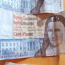 old irish notes Image 5