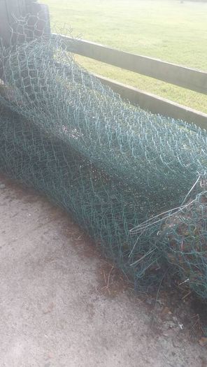 Mesh Wire (FREE)