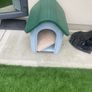 Dog house Image 2