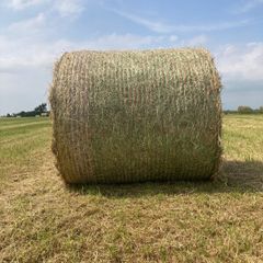 Hay for sale