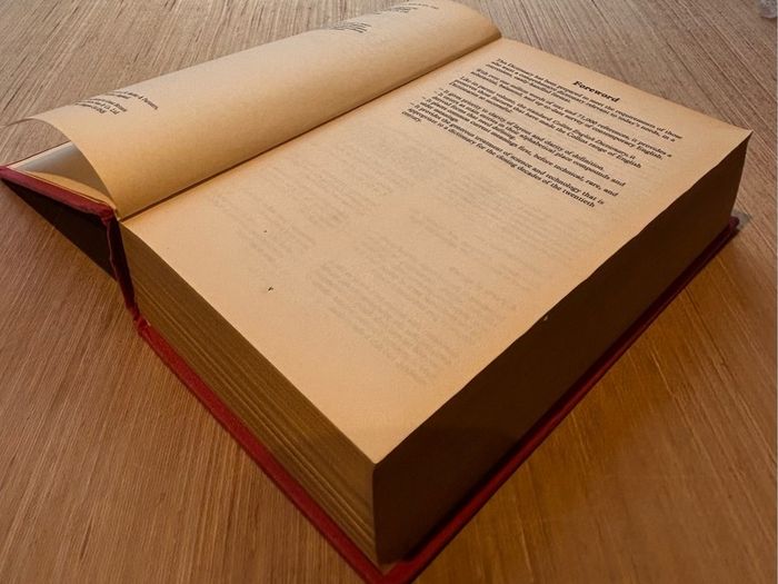 Vintage The Collins Modern English Dictionary