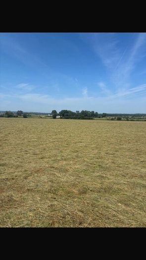 Hay for sale