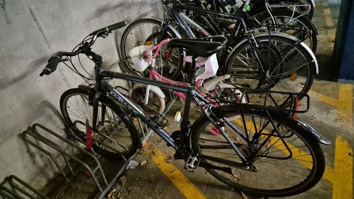 Mens bike