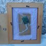 Framed Religious Medals, Artefacts, Relics Image 4