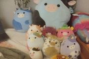 squishmallows
