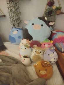 squishmallows