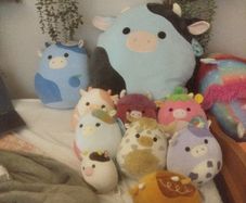 squishmallows