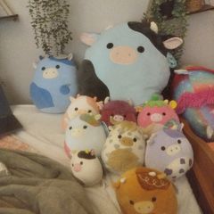 squishmallows