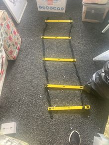 Workout ladder
