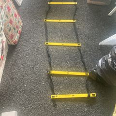 Workout ladder