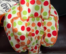 Clevamama cushion