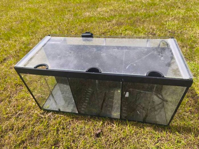 fish tank
