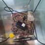 fish tank Image 2