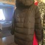 canada goose Image 8