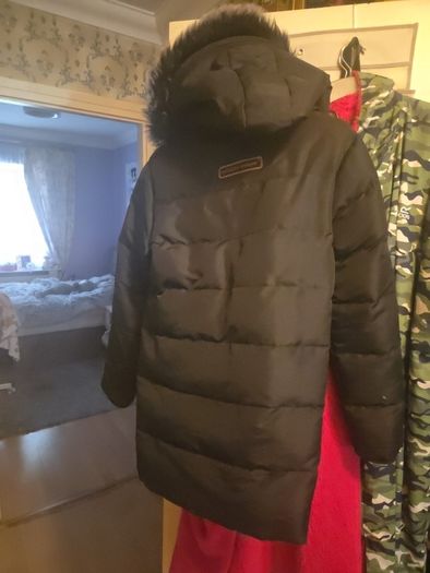canada goose
