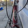 Ladies Bike Image 5