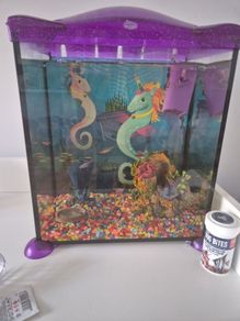 fish