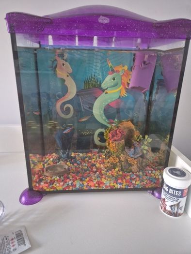 fish