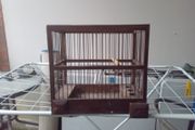 bird finch canary hopper cage I gave my birds away