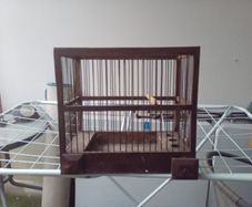 bird finch canary hopper cage I gave my birds away
