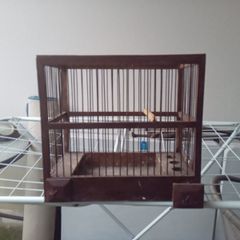 bird finch canary hopper cage I gave my birds away