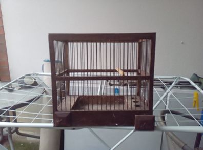 bird finch canary hopper cage I gave my birds away
