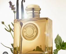 Burberry Goddess Intense EdP