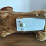 Lucky Dog 90's vintage toy dog barks, walks forward, shakes head, wags tale Image 5