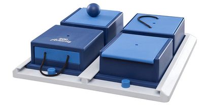 Dog Activity Strategy Game, blue
