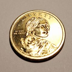 USA Native American Dollar coins