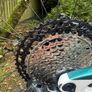 Megamo Track 2022 Carbon MTB  Size M  XTR Di2 DT Swiss 240 Image 3