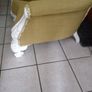Armchair Image 4