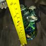 Beautiful Old Mdina Glass Seahorse Paperweight from Malta, featuring a blue and yellow swirled base, Postage Available or Collection Image 7