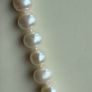 freshwater pearls & stud earring set Image 4