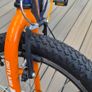 Kids Bike 20" Image 3