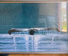 Large whale picture