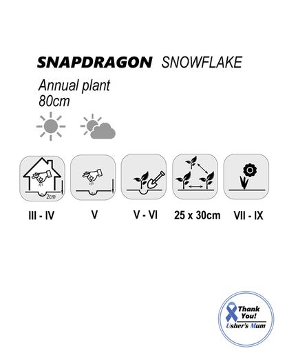 (S) Snapdragon Snowflake seeds 0.2g (415915)